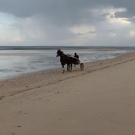 Maisonnette Le Cottage A 50M De La Plage D'Asnelles , 3Km D'Arromanches, 10Km De Bayeux Εξωτερικό φωτογραφία