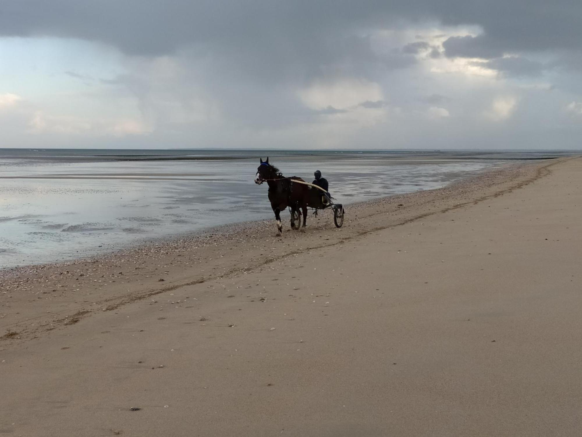 Maisonnette Le Cottage A 50M De La Plage D'Asnelles , 3Km D'Arromanches, 10Km De Bayeux Εξωτερικό φωτογραφία